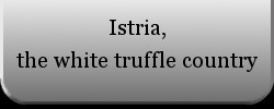 Istria, the white truffle country